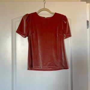 WAYF Pink Velvet Top XS